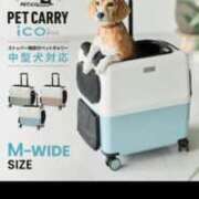 ヒメ日記 2026/04/05 10:27 投稿 なこ 熟女デリヘル倶楽部