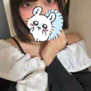 ヒメ日記 2026/02/08 21:12 投稿 みるく 横浜シンデレラ（シンデレラグループ）