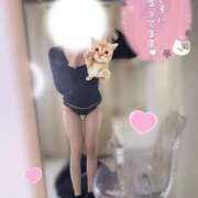 ヒメ日記 2026/04/11 17:58 投稿 しの キミの乳首が好き！！大阪店