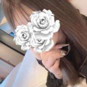 ヒメ日記 2026/01/11 15:21 投稿 古川かりな Claris Tokyo～クラリス東京～