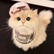 ヒメ日記 2026/01/14 16:51 投稿 原 陽菜乃 ブルーバード