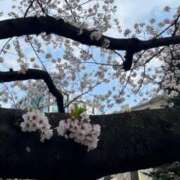 るうあ【奇跡のS級芸能人】 はじめまして STELLA TOKYO－ステラトウキョウ－