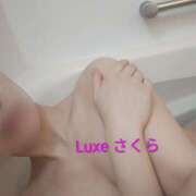 ヒメ日記 2026/01/11 20:14 投稿 新人　さくら MADAME Luxe