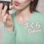 ヒメ日記 2026/02/03 18:34 投稿 新人　さくら MADAME Luxe