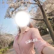 ヒメ日記 2026/04/07 19:12 投稿 新人　さくら MADAME Luxe