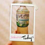 ヒメ日記 2026/09/28 17:40 投稿 新人　さくら MADAME Luxe