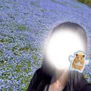 ヒメ日記 2026/04/11 16:00 投稿 菫/すみれ ANEJE～アネージュ池袋～(ユメオト)