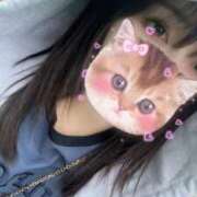 ♪あずき 4月前半予定🌸 水色りぼん