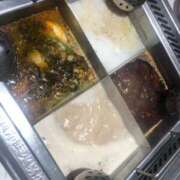 ヒメ日記 2026/01/26 12:18 投稿 えみ 道玄坂クリスタル