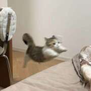 ヒメ日記 2026/03/02 22:27 投稿 りく しゃぼんくらぶ一番館