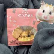 ヒメ日記 2026/02/01 18:27 投稿 ゆい 上野ハンドメイド