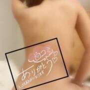 セレナ ありがとう〜✌️ 沖縄素人図鑑