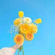 ヒメ日記 2026/04/05 14:46 投稿 隣のメイ 人妻ジャンキー