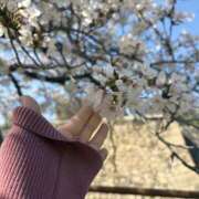 ヒメ日記 2026/04/08 20:13 投稿 リン若奥 未熟な若奥