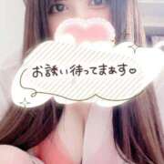 ヒメ日記 2026/02/19 13:22 投稿 もこ りんくう泉佐野ちゃんこ