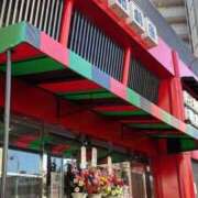 ヒメ日記 2026/02/12 18:02 投稿 まな 天空のマット