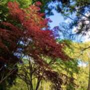 ゆめ 癒されてきました🌿 Cocoon(コクーン)