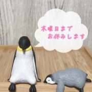 ヒメ日記 2026/06/09 12:07 投稿 ゆめ Cocoon(コクーン)