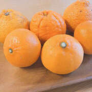 ヒメ日記 2026/03/09 08:06 投稿 浜崎 熟女待機所 厚木店