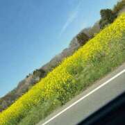 ヒメ日記 2026/04/03 11:26 投稿 穂香（ほのか） Miss&Mrs(ミス＆ミセス)