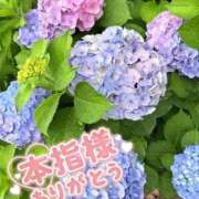 ヒメ日記 2026/06/19 21:26 投稿 夏希（なつき） Miss&Mrs(ミス＆ミセス)