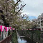 ヒメ日記 2026/04/10 07:56 投稿 由良(ゆら) Miss&Mrs(ミス＆ミセス)