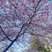 ヒメ日記 2026/03/01 20:55 投稿 れい Sexy Club 月TOKYO