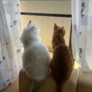 ヒメ日記 2026/03/11 10:26 投稿 伊久(いく) Miss&Mrs(ミス＆ミセス)