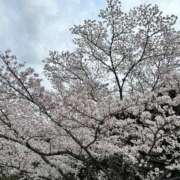 ヒメ日記 2026/04/03 20:36 投稿 伊久(いく) Miss&Mrs(ミス＆ミセス)