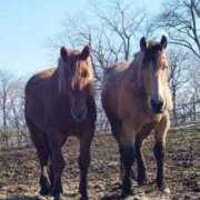 友（とも） 虫掛けエリアなら♥️ Miss&Mrs(ミス＆ミセス)