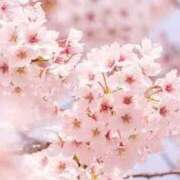 ヒメ日記 2026/03/31 08:37 投稿 玲奈（れな） Miss&Mrs(ミス＆ミセス)