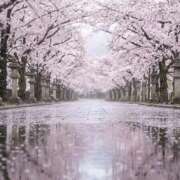 ヒメ日記 2026/04/02 00:46 投稿 玲奈（れな） Miss&Mrs(ミス＆ミセス)