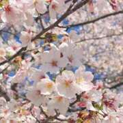 ヒメ日記 2026/04/02 21:56 投稿 玲奈（れな） Miss&Mrs(ミス＆ミセス)