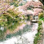 ヒメ日記 2026/04/06 08:42 投稿 玲奈（れな） Miss&Mrs(ミス＆ミセス)