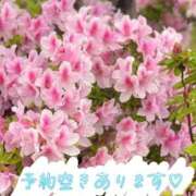 ヒメ日記 2026/04/24 08:46 投稿 玲奈（れな） Miss&Mrs(ミス＆ミセス)