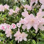 ヒメ日記 2026/04/28 00:36 投稿 玲奈（れな） Miss&Mrs(ミス＆ミセス)