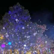 ヒメ日記 2026/02/03 02:54 投稿 ちなつ あふたーすくーる本店