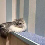 ヒメ日記 2026/02/24 23:53 投稿 ちなつ あふたーすくーる本店