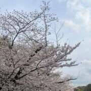 ヒメ日記 2026/04/04 00:22 投稿 ちなつ あふたーすくーる本店