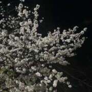 ヒメ日記 2026/04/07 00:34 投稿 ちなつ あふたーすくーる本店