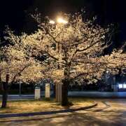 ヒメ日記 2026/03/31 17:27 投稿 まほ オースリー