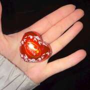 ヒメ日記 2026/01/19 21:52 投稿 れい オースリー