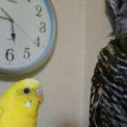 ヒメ日記 2026/01/30 08:51 投稿 礼子 モアグループ所沢人妻城