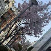 ヒメ日記 2026/03/30 19:48 投稿 礼子 モアグループ所沢人妻城