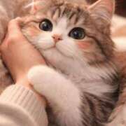 ヒメ日記 2026/03/21 12:18 投稿 一ノ瀬 もな ハレ系 放課後クラブ