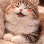 ヒメ日記 2026/03/21 12:21 投稿 一ノ瀬 もな ハレ系 放課後クラブ