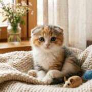 ヒメ日記 2026/03/27 06:37 投稿 一ノ瀬 もな ハレ系 放課後クラブ