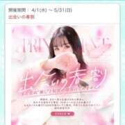 ヒメ日記 2026/04/20 19:06 投稿 一ノ瀬 もな ハレ系 放課後クラブ