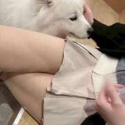 ヒメ日記 2026/02/16 22:13 投稿 あも★爆乳Gカップ激カワJD★ S級素人清楚系デリヘル chloe