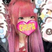 さき 久々の出勤さん🐶 埼玉ちゅっぱ川越店